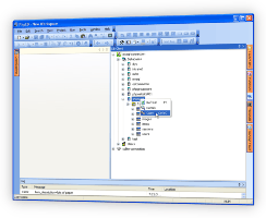 Copy MySQL database name